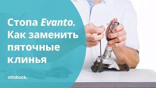 Карбоновая стопа Evanto: как заменить пяточные клинья