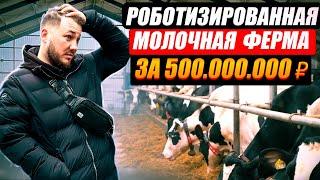 Молочная ферма как бизнес. Агрокомплекс с роботами. Животноводство / Антон Пермяков