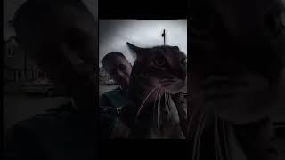 Cat phonk #meme #cat #edit