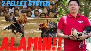 Maintenance and Conditioning Tips - 2 Pellet System