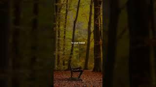 Miley Cyrus - Angels Like You Lyrics #lyrics #shortslyrics #shorts #mileycyrus #angelslikeyou