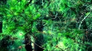Denise Young - Cobblestones In The Rain