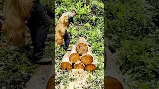 How to Make a Log Beehive? Wild Bees Love the Natural Wood Scent!