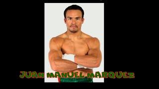 Juan Manuel Marquez all knockouts