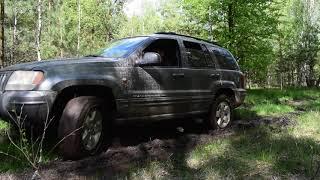 JEEP Grand Cherokee WJ + Silverstone AT-117 in after rain forest drive