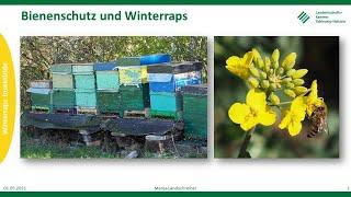 Bienenschutz im Winterraps, Frühjahr 2021, LKSH