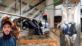 Finally Sab Animals K Liye Shower Lga Diye  Sab Animals Happy 