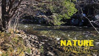 Relaxing nature walk next to beautiful river - virtual tour - ASMR sounds of water - Valnes, Norway