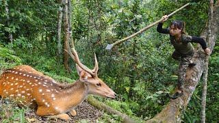 detect wild deer tracks, hide and trap wild deer, survival alone