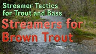 Streamer Tactics for Trout and Bass: Streamers and Bucktails for Brown Trout