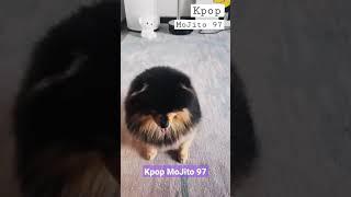 Cute Yeontan  @Kpop MoJito 97