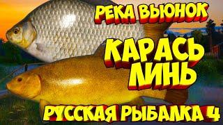 русская рыбалка 4 - Карась Линь река Вьюнок - рр4 фарм Алексей Майоров russian fishing 4