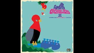 Cumbias Chichadélicas 2 : + Peruvian Psychedelic Chicha (Infopesa) Disco Completo / Full Album