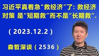 习近平真着急 要亲自领导“救经济”了：救经济的对策是“短期救”而不是“长期救”.（2023.12.2）