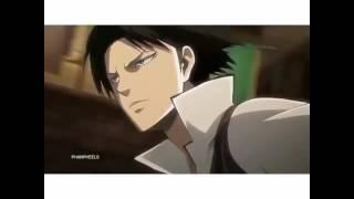 Levi senpai