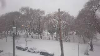 Snowy day on the Red Line