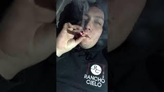 Packwoods Blue Skittlez