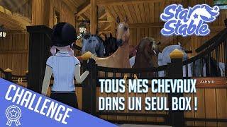 Tous mes chevaux dans UN box - 2 | Star Stable - SSO