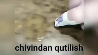 Chivindan qutilish yuli#Чивиндан кутилиш йули