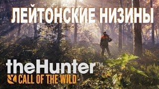 theHunter: - Call of the Wild #15 ЛЕЙТОНСКИЕ НИЗИНЫ