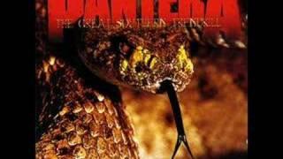 Pantera - 10's