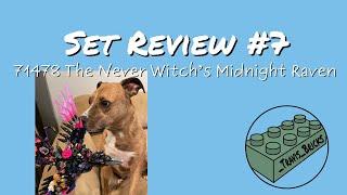 Set Review #7 – 71478 Dreamzzz Never Witch's Midnight Raven