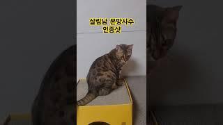 #살림남#본방사수#인증샷#박서진#계단말고 엘리베이터#고양이#임영웅