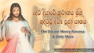 Divine Mercy Novena & Holy Mass- 18/10/2024