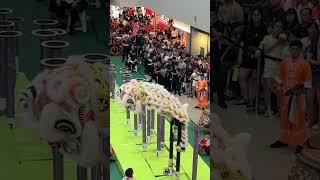 Fall and Rise Singapore Shui Lian Gong Dragon & Lion Dance Troupe 首届利达广场新马南狮高桩锦标赛