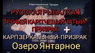 Русская рыбалка 4. Озеро Янтарное. ТРОФЕЙ КАРП ЧЕШУЙЧАТЫЙ - ПРИЗРАК + КАРП ЗЕРКАЛЬНЫЙ ПРИЗРАК У ДУБА