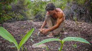 I Started a Garden on my Primitive Homestead (new beginnings part 12)