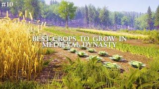 Best Crops to Grow in Medieval Dynasty