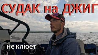 Почему судак не клюет на джиг?