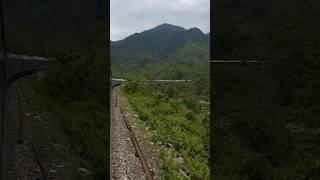 Beautiful train route in Assam           #travel #viral #nature #trains #love #youtubeshorts #viral