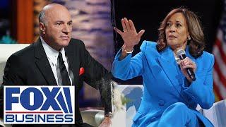 O'Leary: It's 'unprecedented' for Kamala Harris to do this