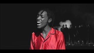 Nel Ngabo - Want You Back (Official Music Video)