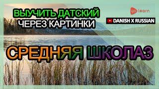 Выучить датский через картинки |датский словарь средняя школа3 | Golearn