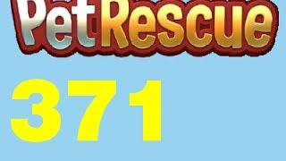 Pet Rescue Saga Level 371 Livello 371