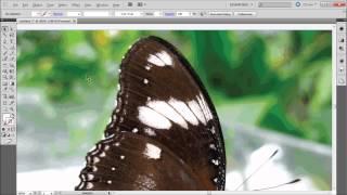 Illustrator Tutorial: Live Trace -HD-