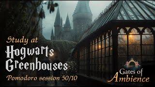 Harry Potter Ambience  Rain at Hogwart's Greenhouses | 3H Pomodoro 50/10