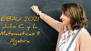 EBAU 2021 JULIO CYL  ÁLGEBRA MATEMÁTICAS II @lasmatesdemila3221