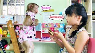 Monkey Lyly learns how to use money after being taught by Dung.