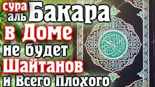  ВКЛЮЧАЙТЕ СУРУ БАКАРА В ДОМЕ НЕ БУДЕТ ШАЙТАНОВ И ВСЕГО ПЛОХОГО - АЛЛАХ ДАЕТ МИЛОСТЬ И ЗАЩИТУ