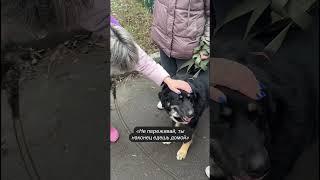 Нам остается только радоваться ️ #dog #собака #возьминепокупай #приютнекрасовка