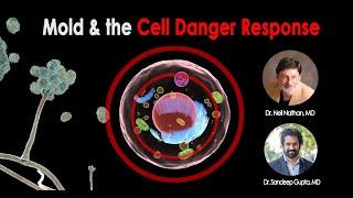 Mold and the Cell Danger Response, Vagal and Limbic dysfunction with Dr. Neil Nathan