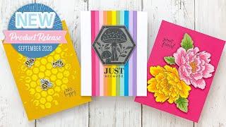 Buzzworthy Project Kit | Cardmaking Inspiration With Channin Pelletier