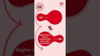 Discuss the differences between HDL good cholesterol and LDL bad cholesterol | RR Health Care