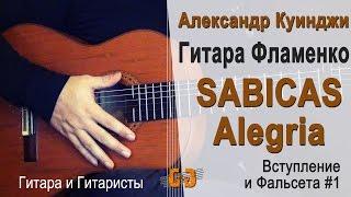 Испанская гитара фламенко. Sabicas  Alegria. #1. (Не Дидюля)