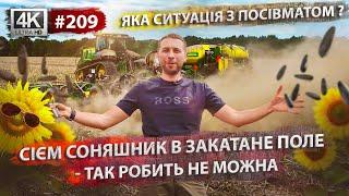 Що за відношення до фермерів️Експерименти з посівом соняшникаМороз присадив кукурудзу 