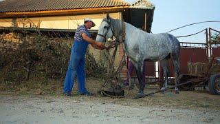 Life in a small village in Eastern Europe | A beautiful country between Ukraine and Romania